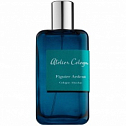 Figuier Ardent 