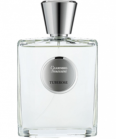 Tuberose 